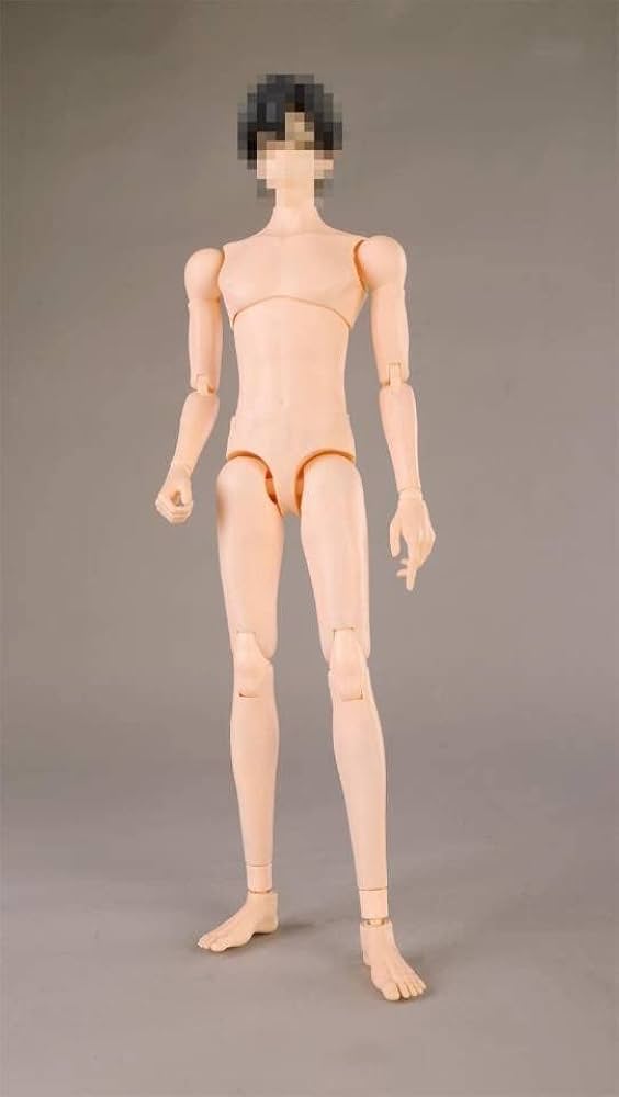 Human Body キット　英語 Human Body キット 英語 Human Body キット 英語 ZX-1100E Human